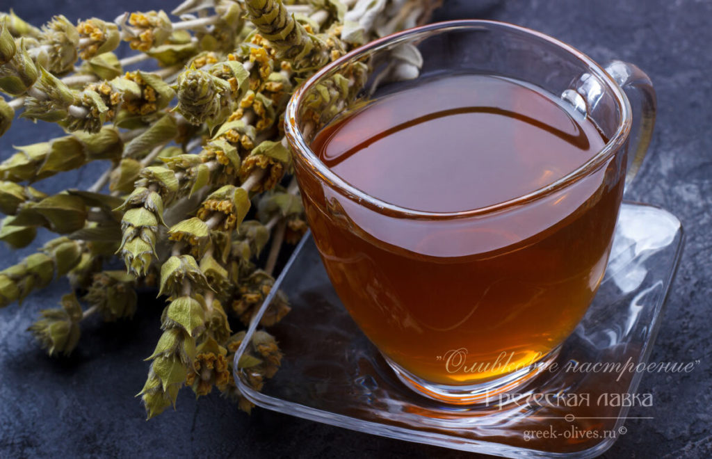 Критский чай малотира полезные свойства и противопоказания